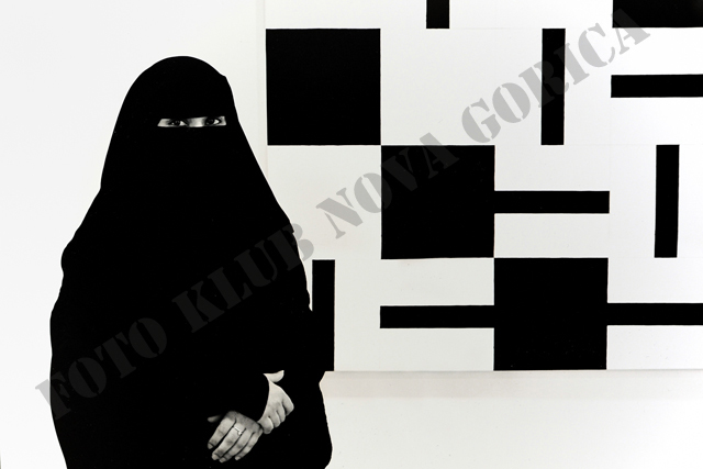 D_Andreja_Ravnak_Asil Anom.JPG