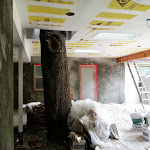 20130522_101849.jpg
