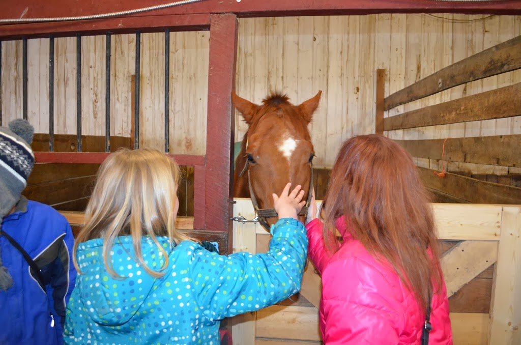 [DSC_6663%255B3%255D.jpg]