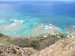 ...and the coral reefs below...