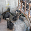 hokkaido_598.jpg
