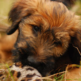 Abi - DSC_0079.jpg