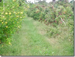 appels16 appels16