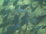 IMG_4563.jpg