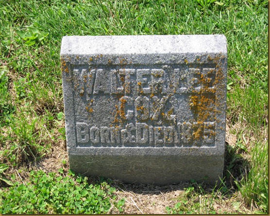 Walter Lee Cox Walter Lee Cox