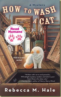 How to Wash a Cat copy How to Wash a Cat copy
