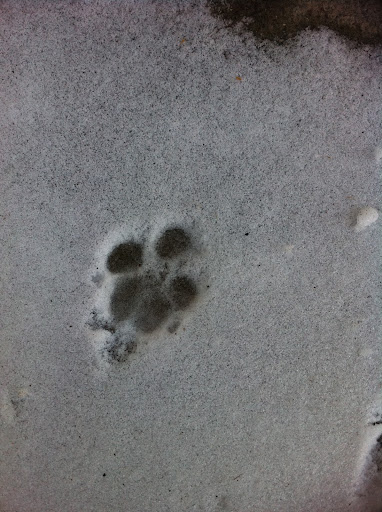 Silver white winters...