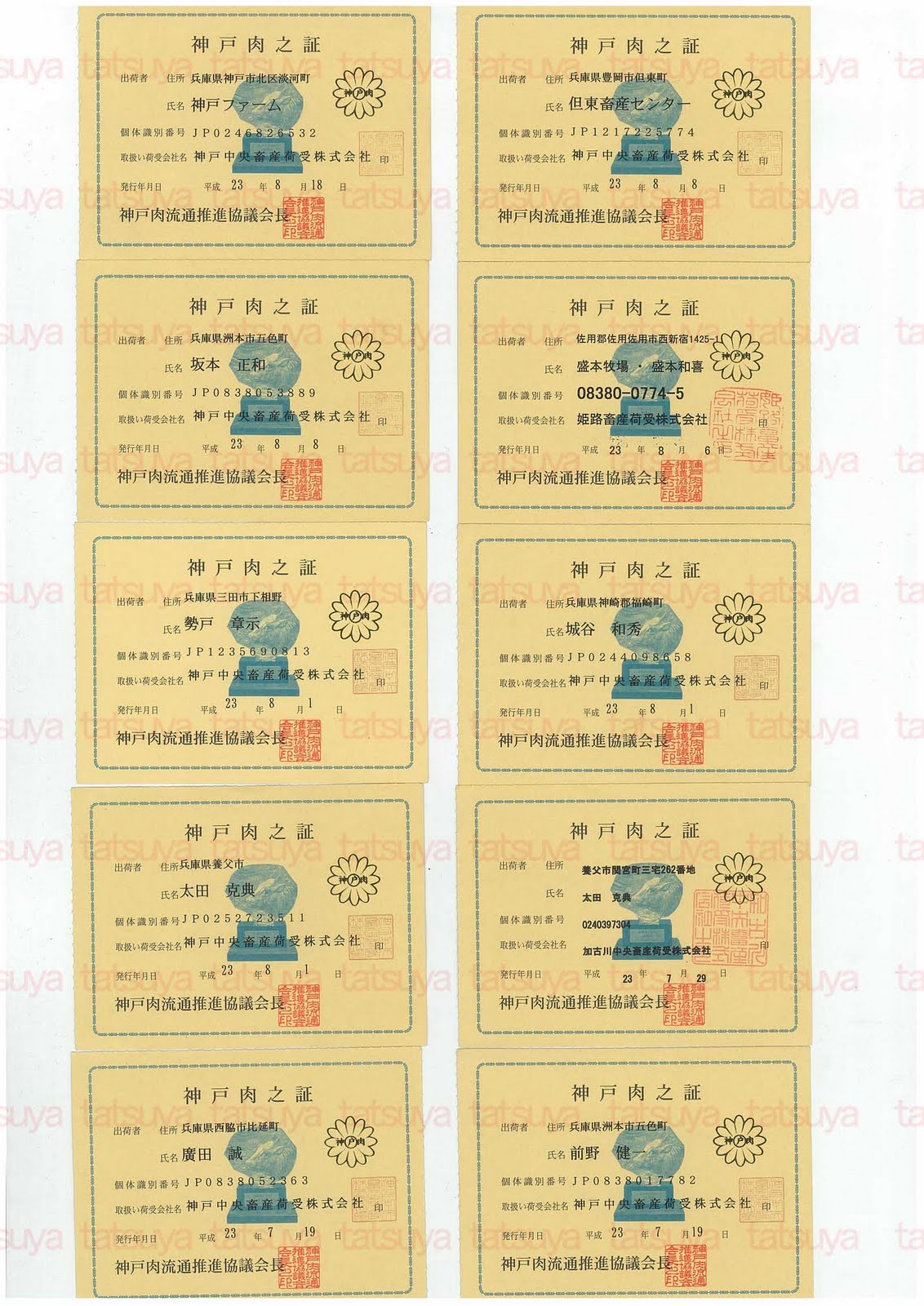 [LOT-11082601-%25231.jpg]