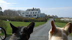Oh Sharkey, I know this one!  That mansion is called Seaweed and is where Martha is attending a dinner party in honor of the 100th anniversary of the Titanic!