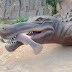 IMG_20120122_171240.jpg