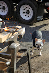 Look at all of those sparks - better to stand back.