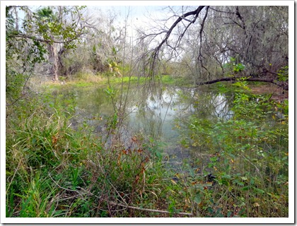 wildlife refuge