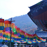 DSC_0260.JPG