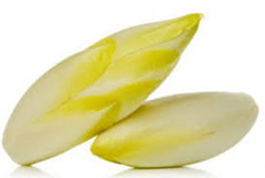 Endive