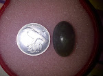IMG-20111113-01723.jpg
