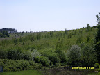 SDC10754.JPG