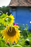 IMG_6190.jpg