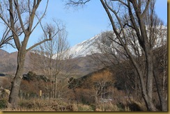 IMG_7309