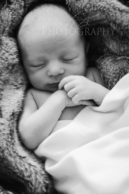 HPP_4633bw