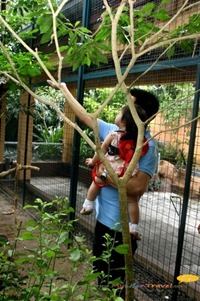 Langkawi Wildlife Park Langkawi Wildlife Park