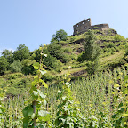 DSC_0026.JPG