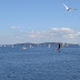 DSC00185c.jpg