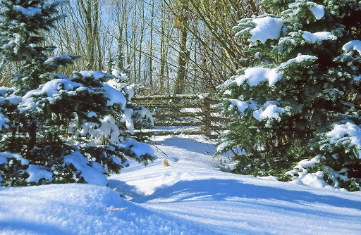 boat supplies boise vinyl fence idaho twin falls 187 fencing boat supplies boise vinyl fence idaho twin falls 187 fencing