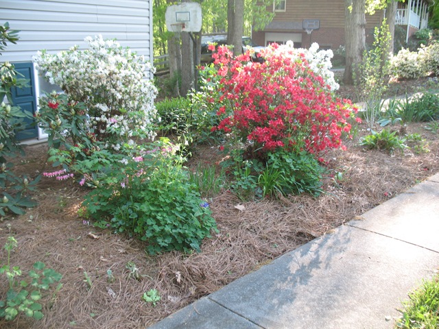 [IMG_0002%255B6%255D.jpg]