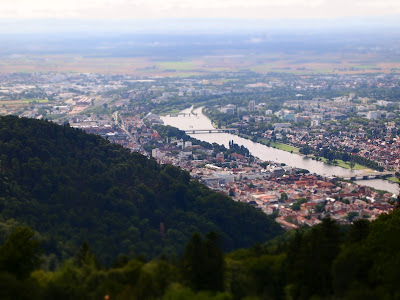 P7291575.JPG