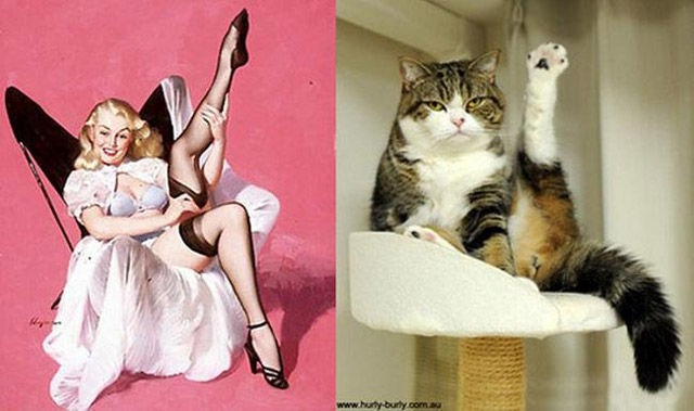 [cats-pinup-models-1%255B2%255D.jpg]