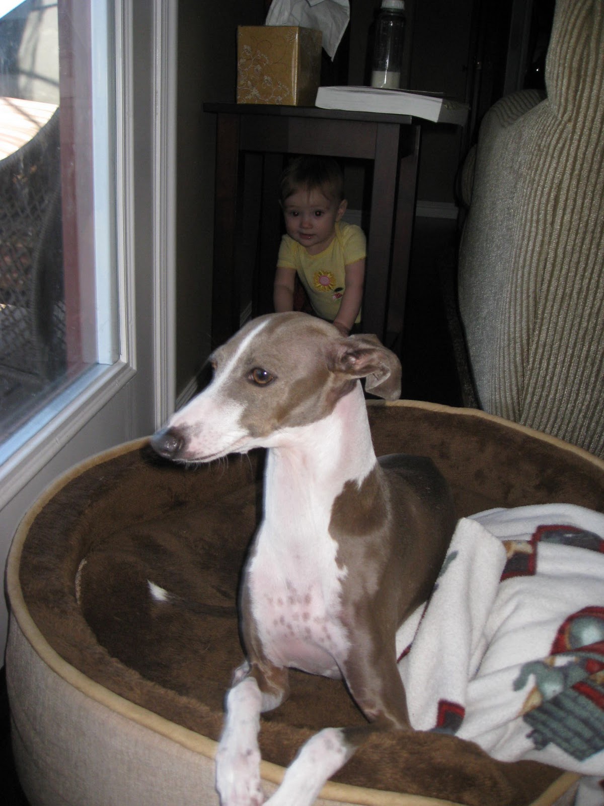 [IMG_3118%255B2%255D.jpg]