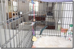 Grooming Room from cage in Middle Room