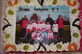 F1 Kampioen najaar 2007.jpg