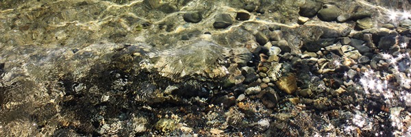 IMG_0006 IMG_0006