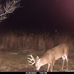 Cdy00101.JPG