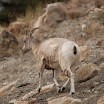 _MG_7716.jpg