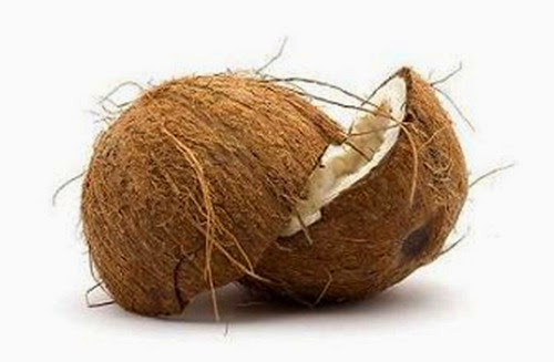 coconut coconut