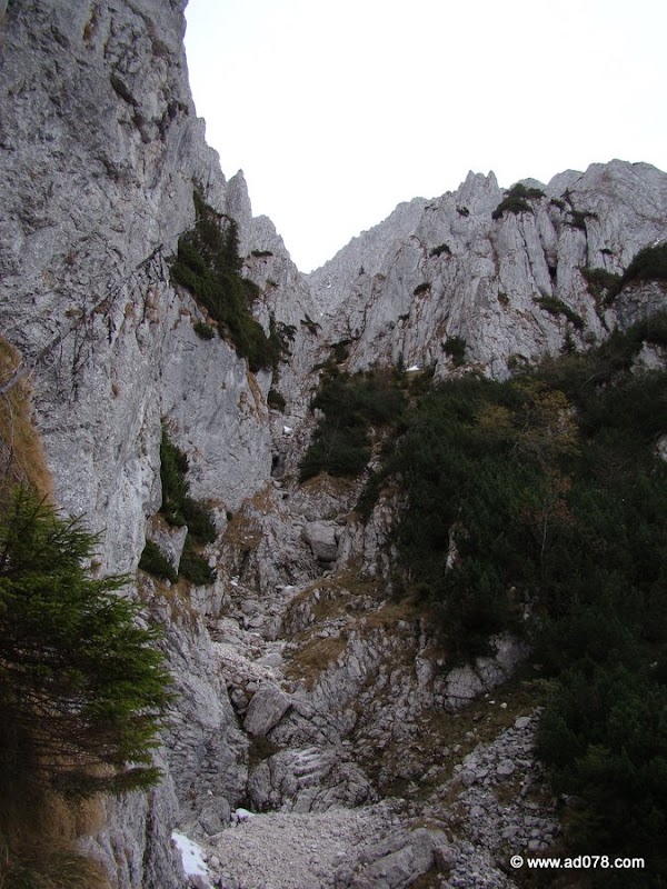 cioranga ramura de sus-25.JPG