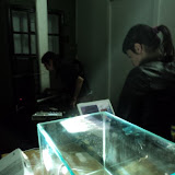 DSC00253.JPG
