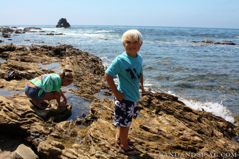 [Explore%2520the%2520tide%2520pools%2520%2528800x533%2529%255B12%255D.jpg]