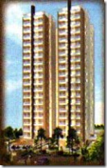 Torre 19