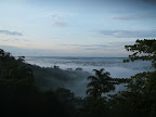 The rainforest in the Corrientes River basin from the Achuar community of Nueva Jerusalem, right in the middle of Oil Block 1-AB