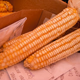 DSCF6119.JPG