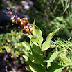 IMG_6092.jpg
