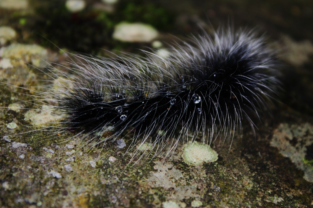 [061%255B3%255D.jpg]