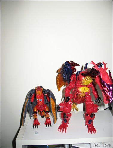 IMG_1415 IMG_1415