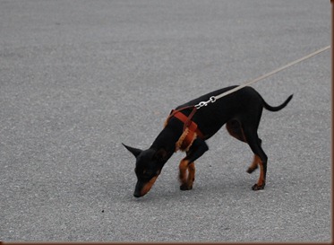 DSC_1507 DSC_1507