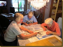 IMG_6029 IMG_6029