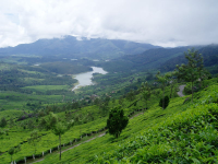 Center withdraws its previous green order on Western Ghats...
