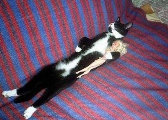 [viral-picdump-pics-6b7b79%255B2%255D.jpg]